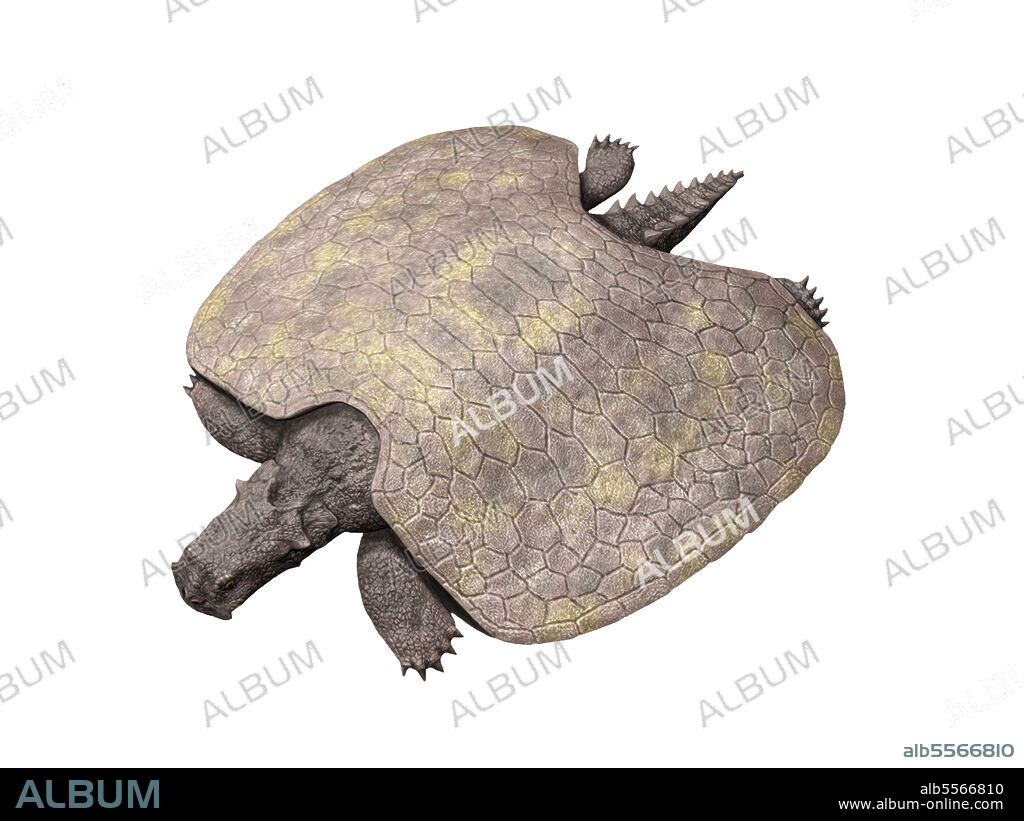 Henodus chelyops, Placodontia, Late Triassic of Germany.