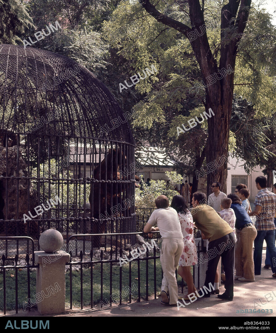 VISITANTES DEL ANTIGUO ZOO DE  EL RETIRO AÑOS 60 VISITANDO A EL OSO PARDO ENJAULADO.