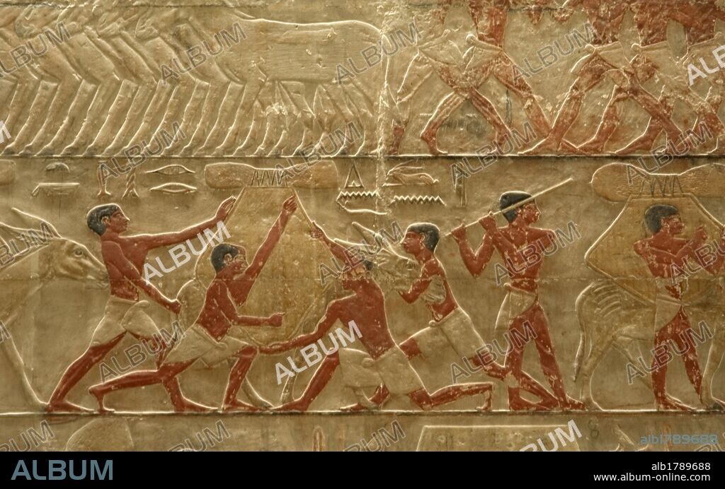 Egypt. Saqqara. Mastaba of Ti. Relief depicting agricultural scene. Detail. 5th Dynasty. Old Kingdom.
