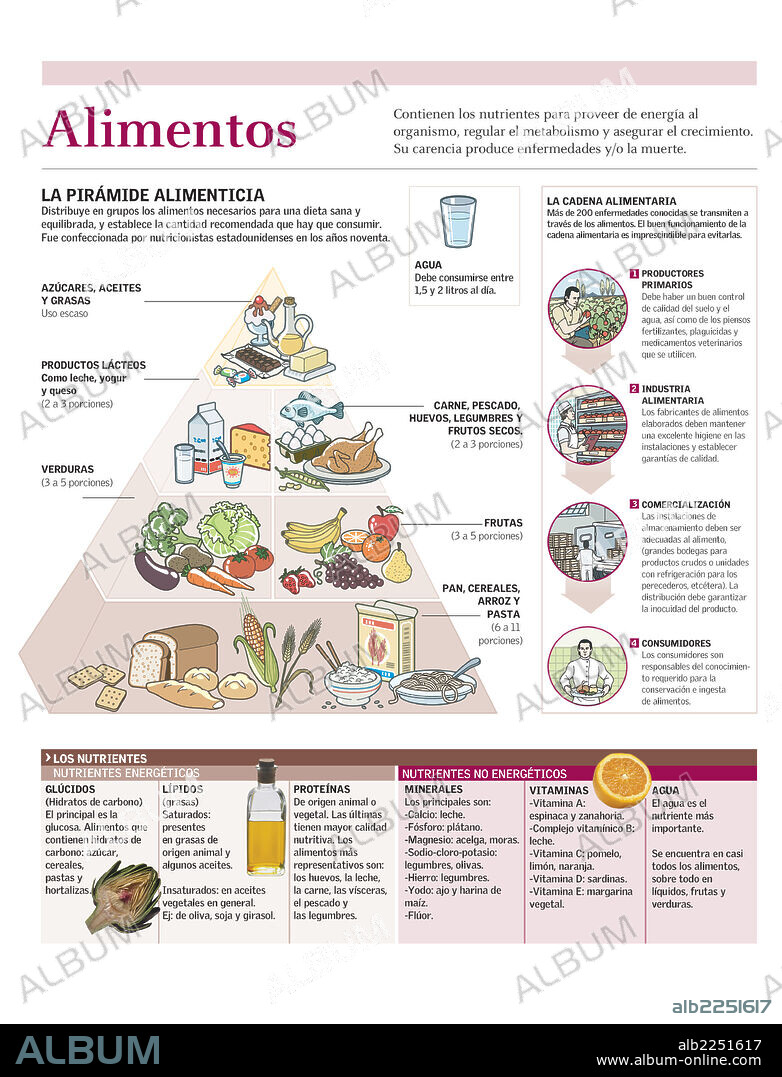 ALIMENTOS. Infografía de la pirámide alimenticia y los principales nutrientes.