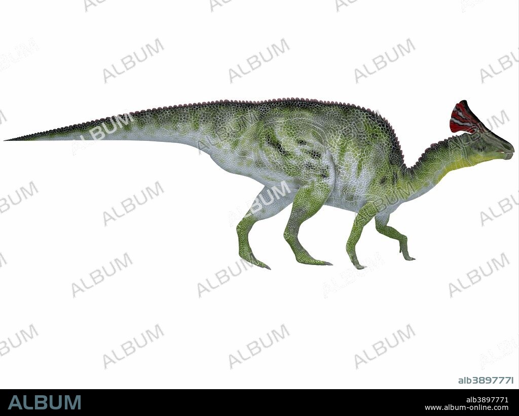 Olorotitan was a duckbilled dinosaur with a colorful fan-shaped crest on its head and existed in the Cretaceous Period.