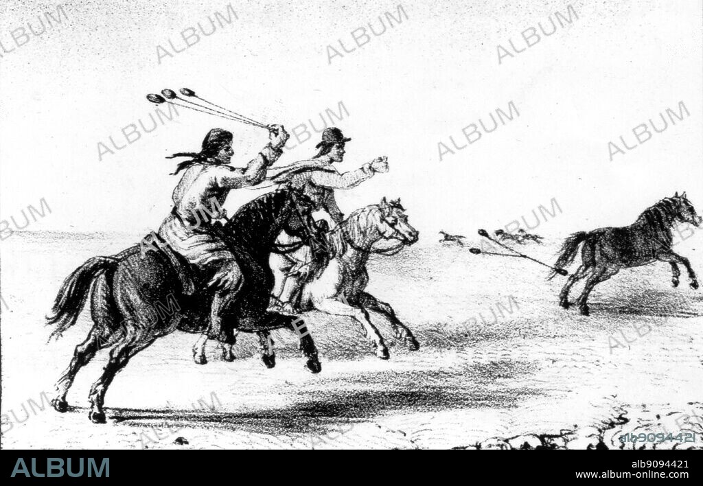 The Bolas - The Gaucho holds the smallest of the three (balls) in his hand, and whirls the other two round and round his head; then, taking aim, sends them like chain shot revolving through the air. Darwin and the Beagle by Alan Moorhead, page 114.