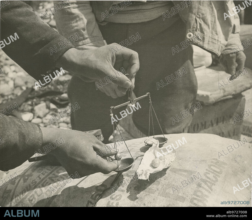 Isla de Lennox (Chile), 1959. Buscadores de oro en la isla de Lennox. Peso en la balanza de una bola de oro.