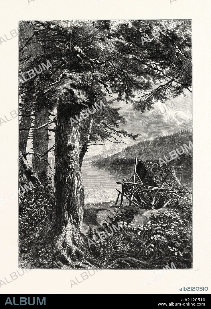 HEMLOCKS OF LAKE OTSEGO. John Augustus Hows, 1832 - 1874. USA.