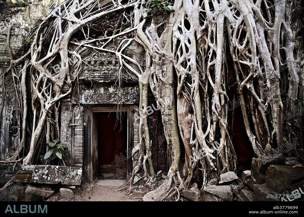 Entrance to the Ta Prohm temple overgrown with roots, temple complex of Angkor Wat in the jungle, Siem Reap, Cambodia, Asia.