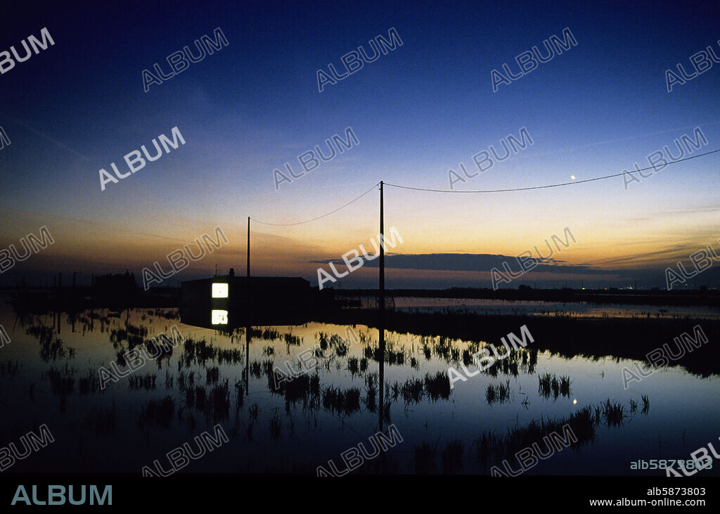 Delta del Ebro, arrozal y barraca al atardecer (Montsià).