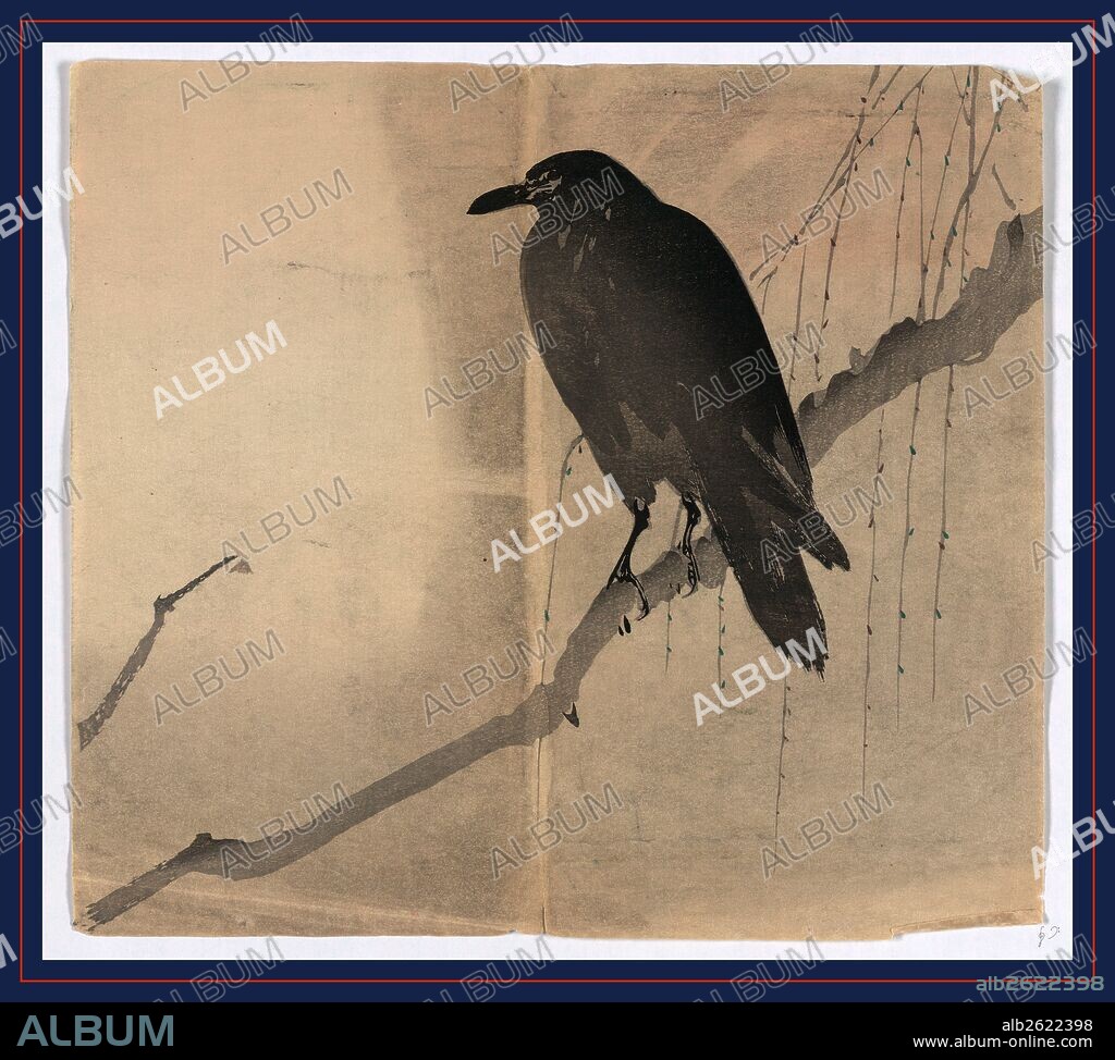 Yanagi ni karasu, Crow on a willow branch., [between 1868 and 1900], 1 print : woodcut, color ; 22.8 x 25.4 cm., Print shows a crow or raven perched on a branch in a willow tree.