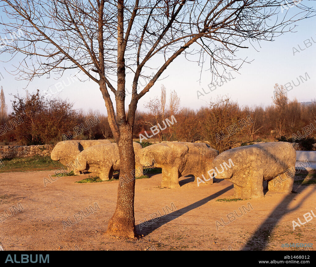 ARTE PREHISTORICO. EDAD DEL HIERRO. ESPAÑA. TOROS DE GUISANDO. Figuras zoomorfas toscamente esculpidas en bloques graníticos y que corresponden a la llamada CULTURA DE LOS VERRACOS de la Meseta (S. II a. C.). GUISANDO. Provincia de Avila. Castilla-León.