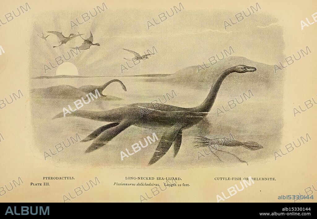 Extinct monsters, London, Chapman & Hall, 1896, plesiosaurus, loch ness monster, plesiosaurus, dolichodirus, monsters, real, halloween, history science art, joseph smith, 7, The scene captures a fascinating prehistoric landscape where a large, long-necked marine reptile, reminiscent of a plesiosaur, swims gracefully through the water. A group of smaller flying reptiles or pterosaurs can be seen soaring above, their wings outstretched against the backdrop of a setting sun. The gentle ripples on the water's surface add a dynamic quality to the peaceful yet thrilling depiction of life in a time long before modern civilization, inviting viewers to imagine the vibrant ecosystem of the era.