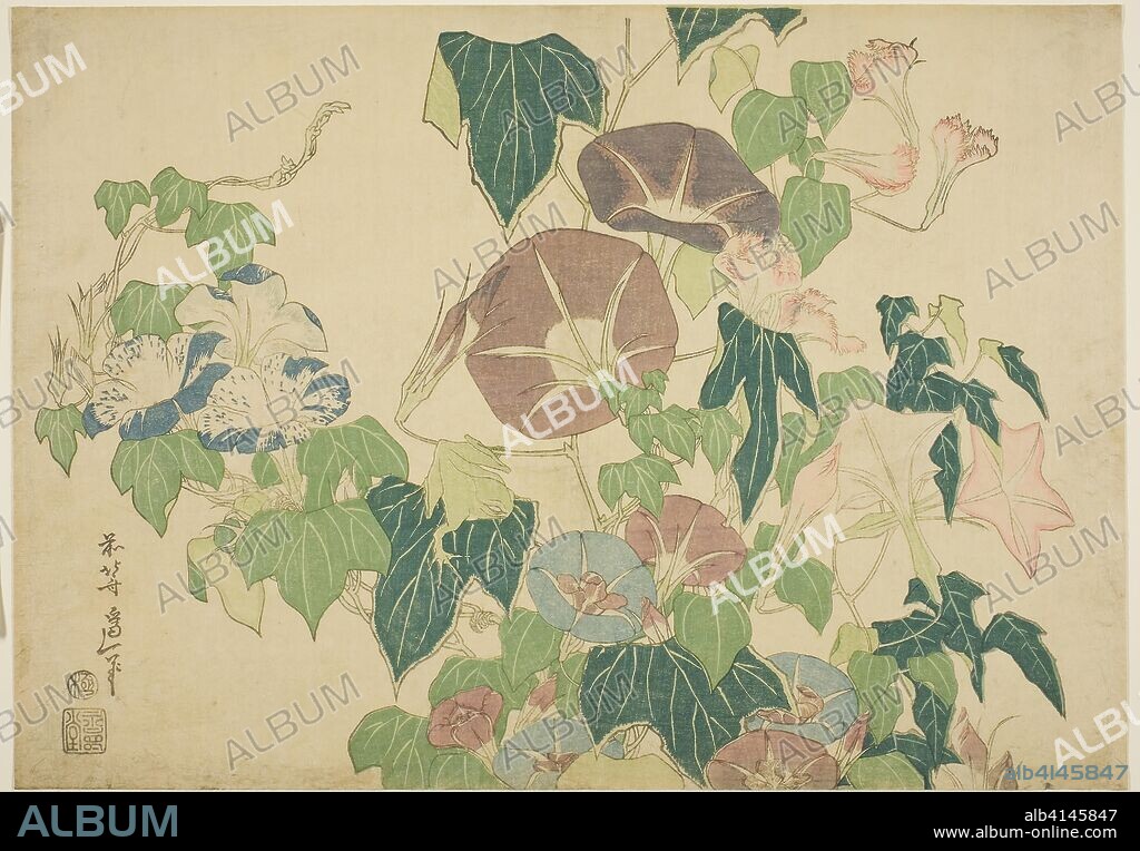 Morning Glories and Tree-frog, from an untitled series of Large Flowers. Katsushika Hokusai ?? ??; Japanese, 1760-1849. Date: 1820-1830. Dimensions: 26.4 x 37.2 cm (10 7/16 x 14 5/8 in.). Color woodblock print; oban. Origin: Japan.