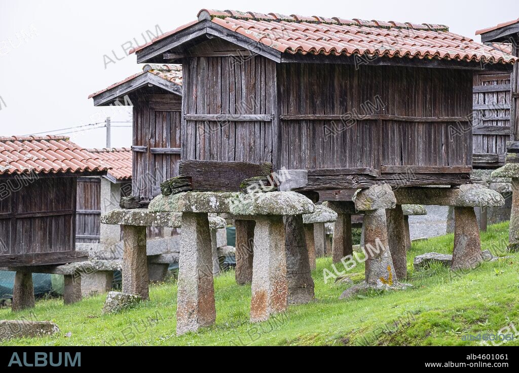 Conjunto de hórreos de A Merca, Terras de Celanova, Ourense, Galicia, Spain.