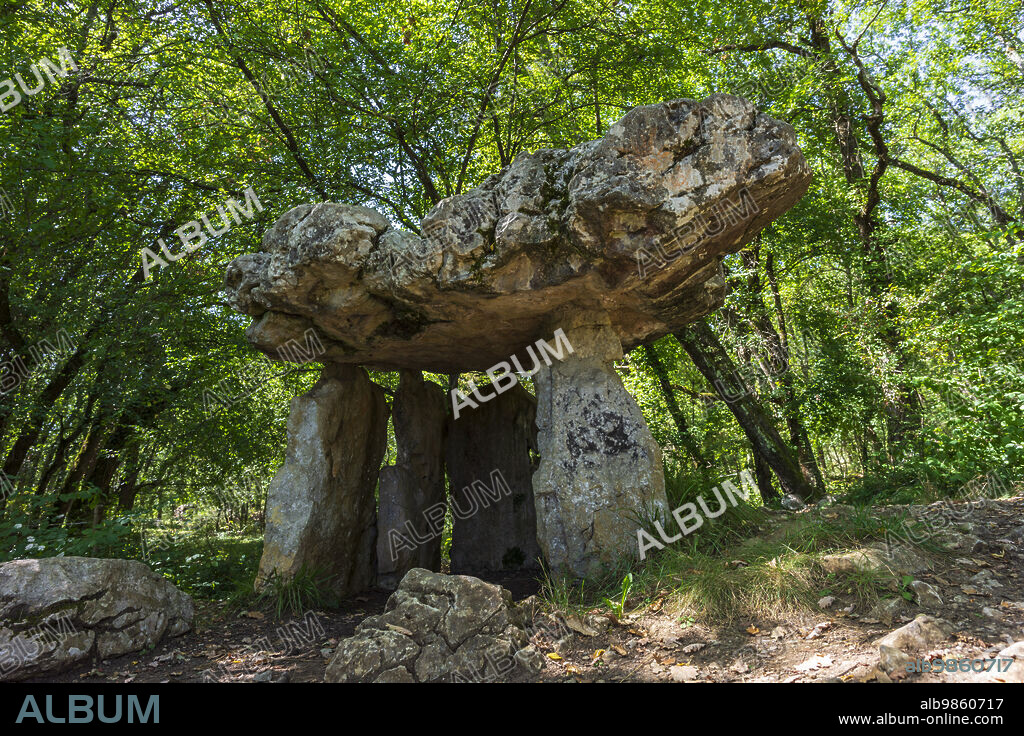 dolmen of Cap Del Pouech, commune of Mas-d'Azil, Ariège Pyrenees regional natural park, Arize massif, French Republic, Europe.