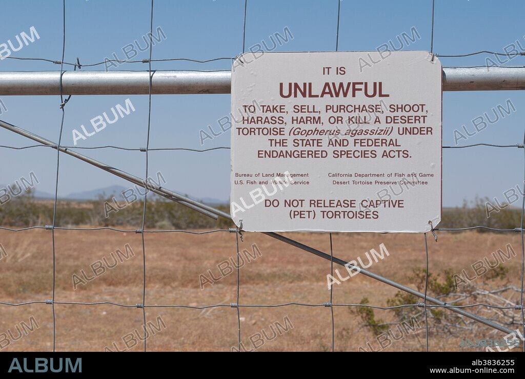 A sign at the boundary of the Desert Tortoise Natural Area, in the Mojave Desert, warns against taking or harming desert tortoises, Gopherus agassizi, a state- and federally-listed Threatened Species.