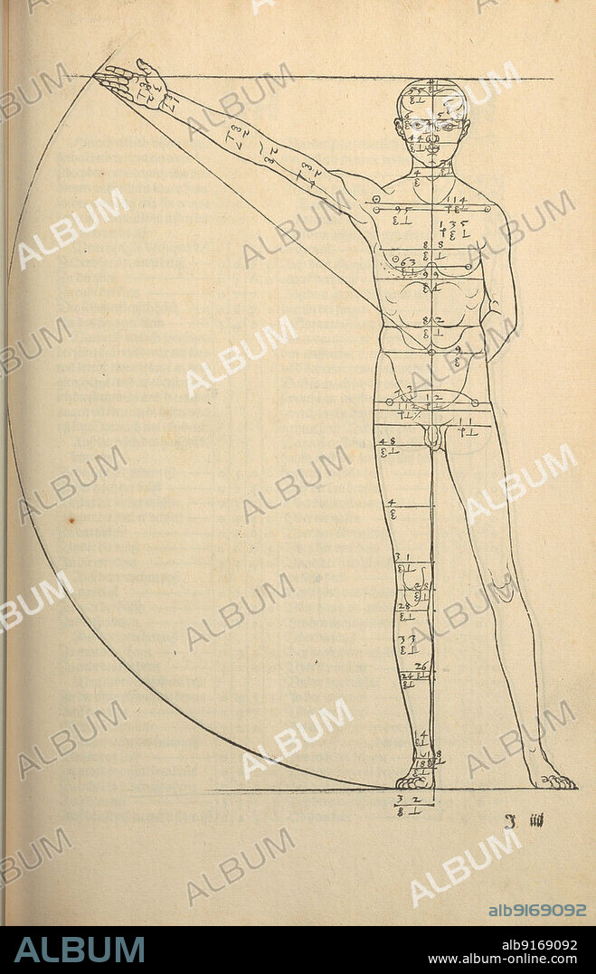 ALBRECHT DüRER. Illustration from the Four Books on Human Proportion.