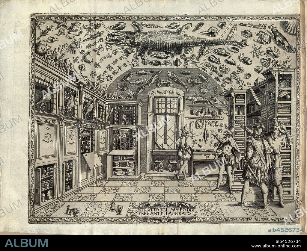Portrait of the Ferrante Imperato museum, Wunderkammer, Fig. 1, before p. 1, 1672, Ferrante Imperato: Historia naturale di Ferrante Imperato napolitano. Nella quale ordinatamente si tratta della diversa condition di minere, pietre pretiose, & altre curiosità. Con varie historie di piante, & animali, sin'hora non date in luce [...]. Venetia: presso Combi & La Noù, 1672.