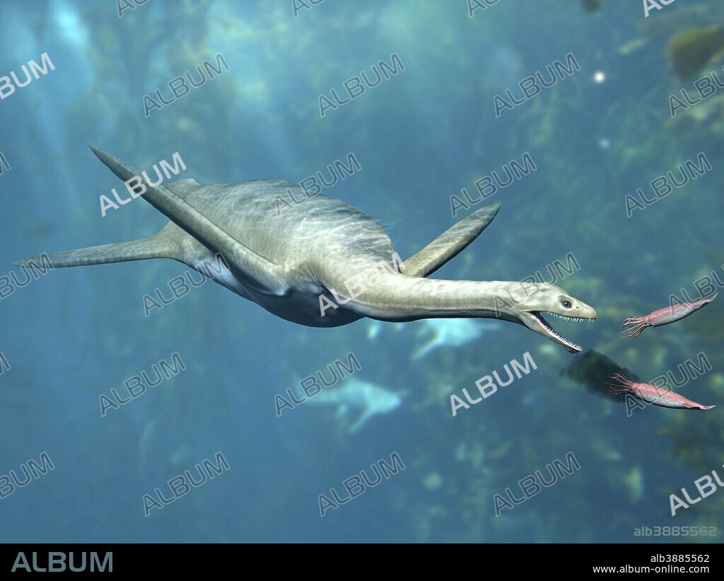 Kaiwhekea plesiosaur feeding on a pair of squid-like cephalopods.