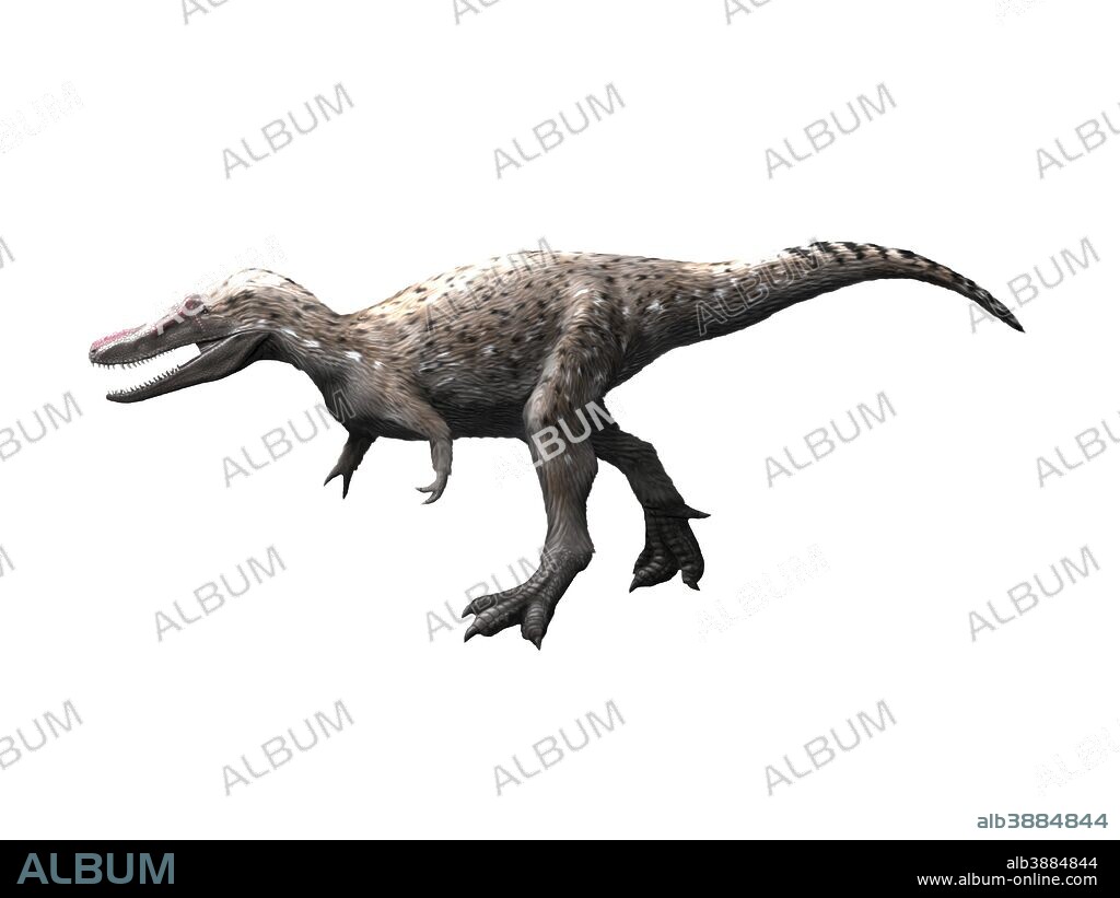 Qianzhousaurus dinosaur, white background.