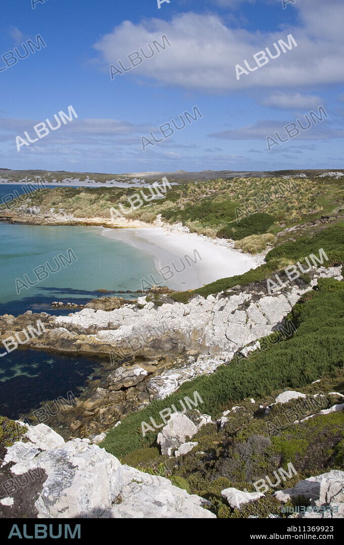Gypsy Cove, Yorke Bay, Port Stanley, Falkland Islands, South America.