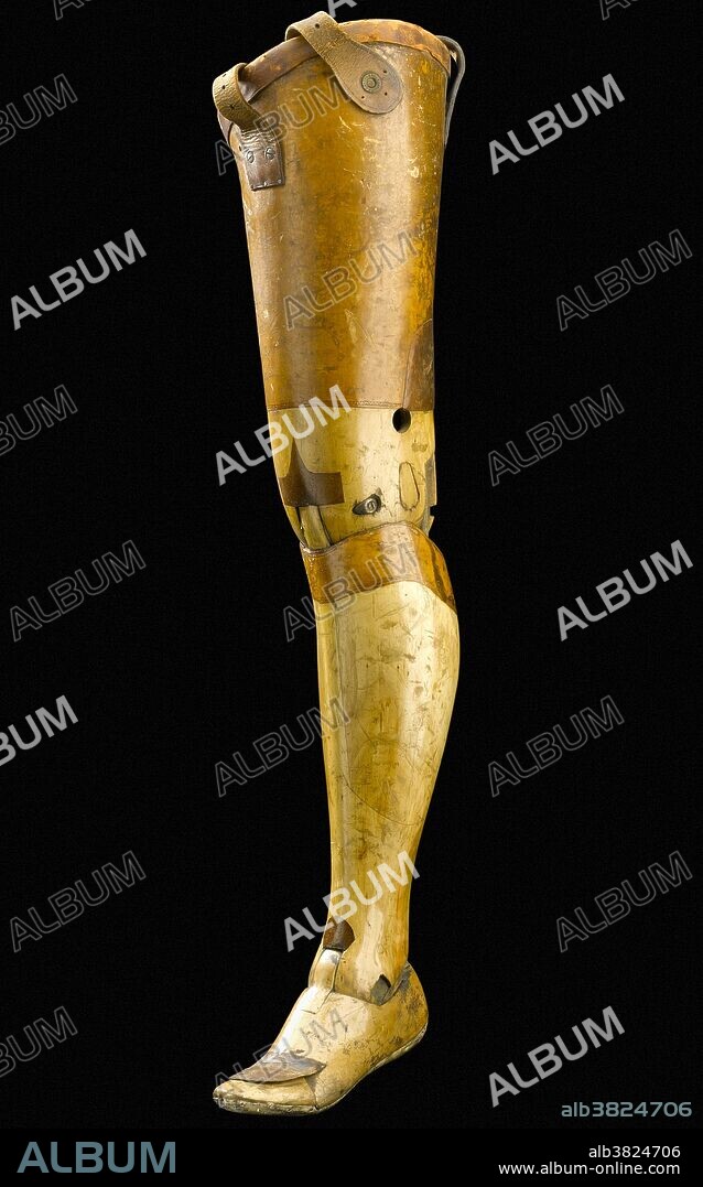 Artificial left leg, Europe, 1901-1940. This artificial left leg was made for someone who had their leg amputated above the knee. It is made from willow and leather. It follows the basic design established by the so-called Anglesey leg. This was named after the Marquis of Anglesey. He wore a leg made to this design after he lost one during the Battle of Waterloo in 1815. Earlier versions were also called Clapper legs after the sound the leg made when fully extended. Wooden prosthetic legs were heavy. They were replaced by lighter, metal versions after design innovations following the First World War. 41,000 British servicemen lost one or more limbs during the conflict. However, the Anglesey limb remained popular well into the 20th century. It was relatively lightweight and capable of a natural-looking walking movement.