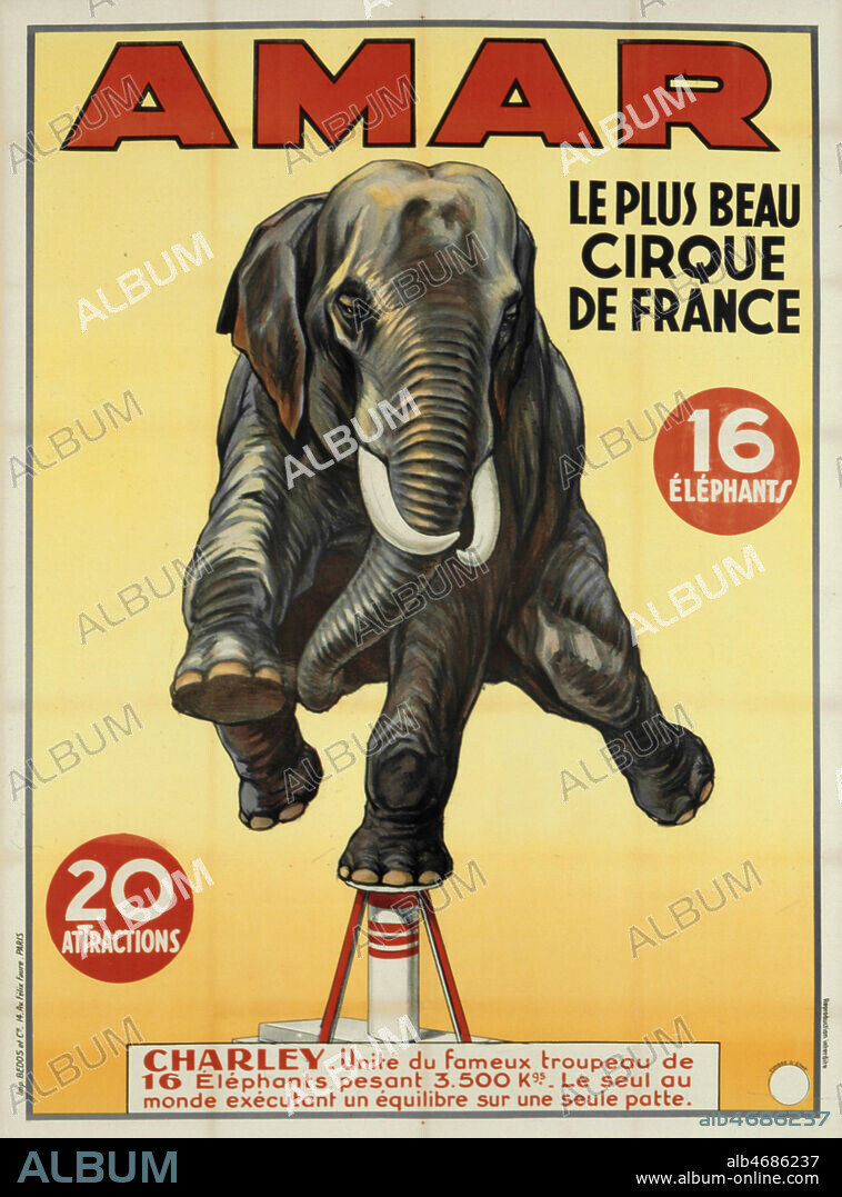 Cirque Amar. Le plus beau cirque de France. Charley, le seul elephant executtant un equilbre sur une seule patte. Illustration anonyme pour une affiche vers 1930. Credit : Coll. Perrin/KHARBINE-TAPABOR.