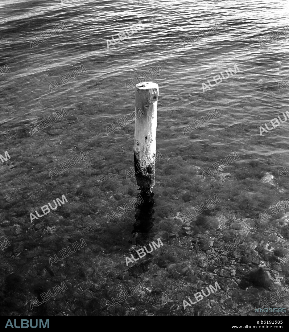 AMARRE EN EL PANTANO DE SANTILLANA A ORILLAS DE MANZANARES EL REAL - FOTOGRAFIA EN BLANCO Y NEGRO - AÑOS 60.