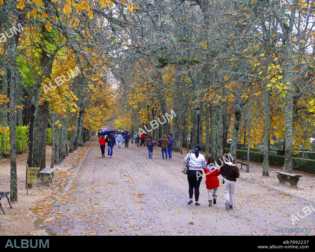 PASEO CON GENTE ENTRE LOS ARBOLES EN OTOÑO - FOTO AÑO 2010 - FOTO AÑO 2010.