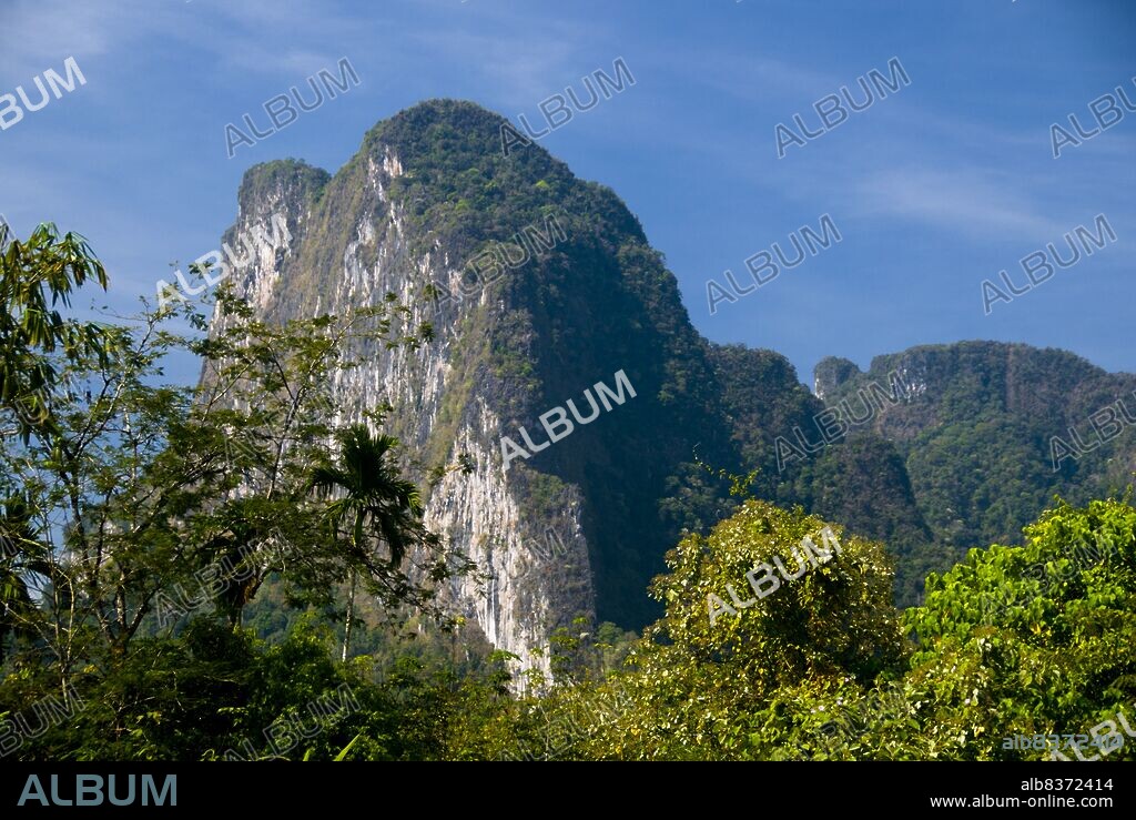 Khao Sok National Park forms the largest and most dramatic tract of virgin forest in southern Thailand. This 160 million year old rainforest is some of the oldest in the world. The climate in the area has been relatively unaffected by past ice ages, since the landmass is relatively small and there are seas on both sides.<br/><br/>. Elephants, tigers, bears, boars, tapirs gibbons and monkeys live in the park, along with more than 300 species of birds, including rare hornbills and argus pheasants. Sightings of the larger animals are usually at night, and animal tracks are regularly seen along the parks many marked trails.<br/><br/>. The park also contains a wide range of flora, including the rare Rafflesia, the largest flower in the world which can measure 80 cm (31 inches) across.<br/><br/>. Khao Sok is celebrated for its karst limestone peaks. In most of the region, ground level averages 200 m (650 feet) above sea level, with the average mountain heights around twice this at 400 m (1280 feet). The tallest peak in the national park reaches 960 m (3,150 feet) in height.