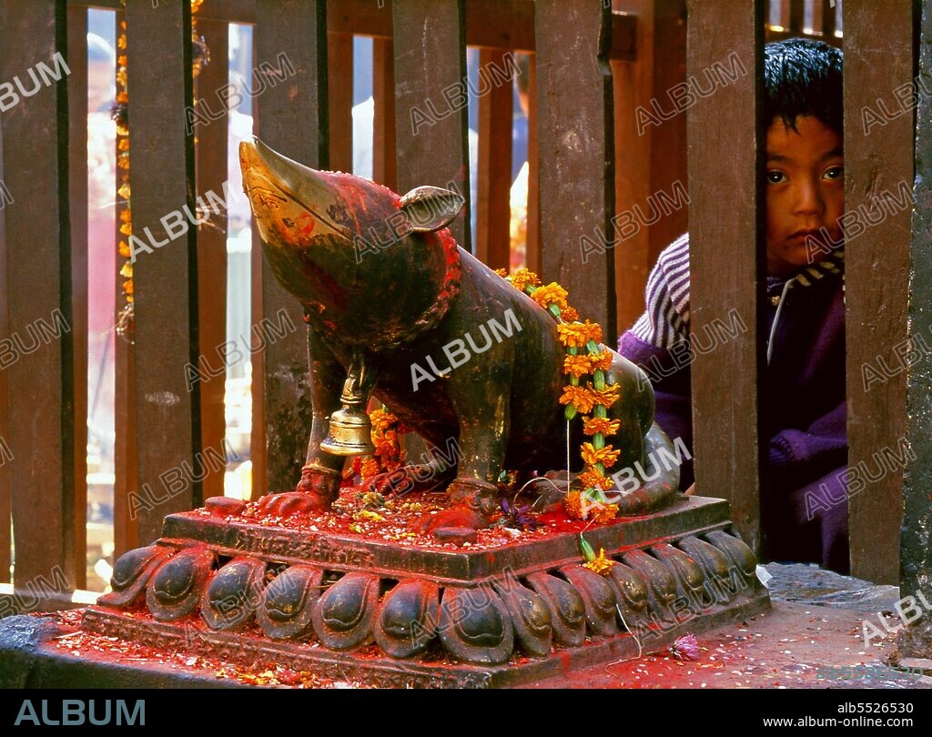 According to Hindu mythology, all animals were created by the god Shiva who simply assumed their particular asana or stances. Due to their divine origin, most animals are considered sacred, though in varying degrees. Most sacred are cows, which are considered the symbol of an all-sustaining mother goddess. Snakes are also sacred, especially the mighty cobra, which is closely associated with Shiva. Even rats are sacred—up to a point—as a rat is the faithful 'vehicle' (<i>vahana</i>) of the elephant-headed god Ganesh.