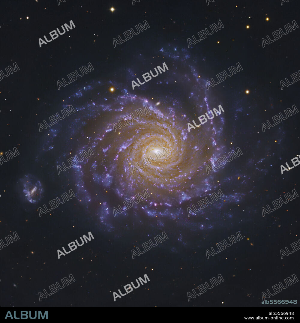 NGC 1232, a spiral galaxy in Eridanus.