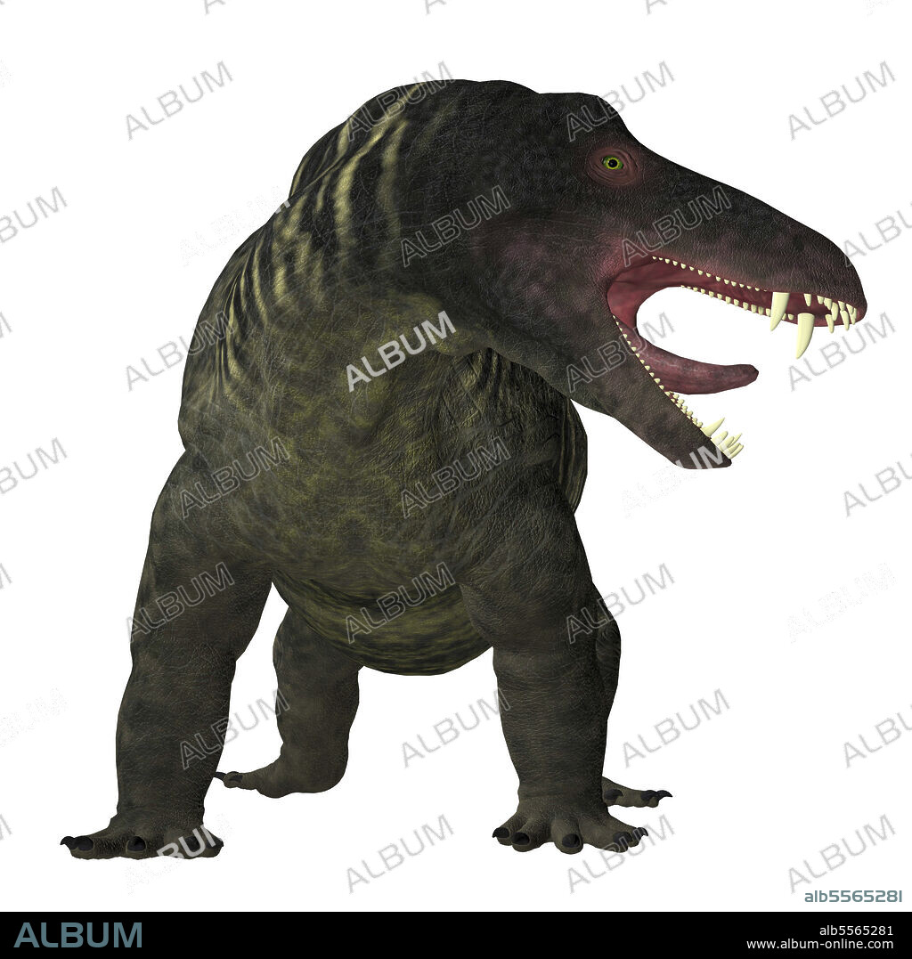 Jonkeria dinosaur on white background. Jonkeria truculenta was an omnivorous therapsid dinosaur that lived in South Africa during the Permian Period.
