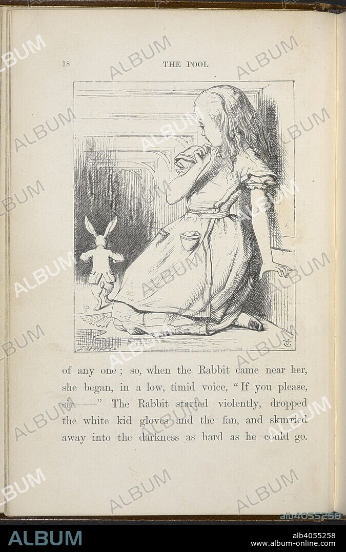 Alice looking at the White Rabbit. Alice's Adventures in Wonderland. With forty-two illustrations by John Tenniel. London : Macmillan & Co., 1866 [1865]. Source: C.59.g.11 page 18.