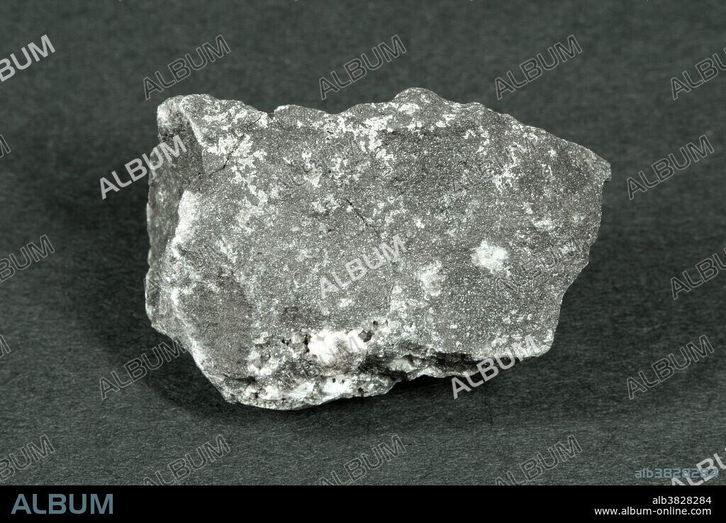 Hand sample of Basalt Porphyry, a dark-colored intrusive igneous rock containing feldspar crystals in an aphanitic (microcrystalline) groundmass of plagioclase feldspar and hornblende.