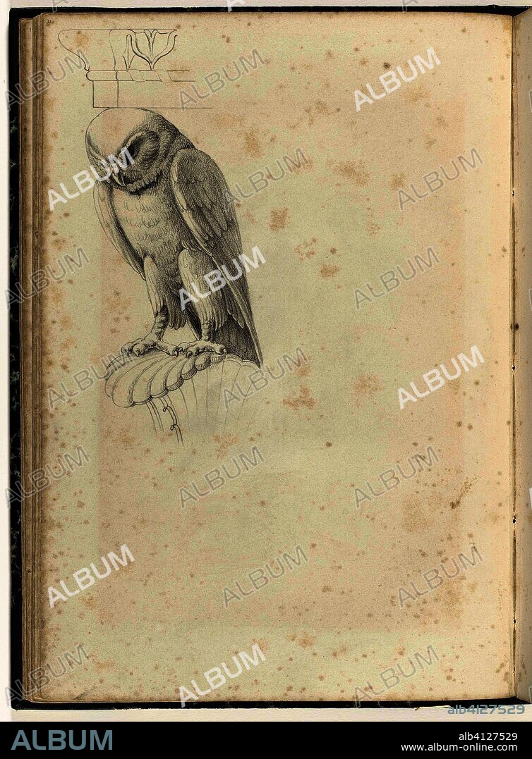 owl. Artist: anonymous. Draughtsman: anonymous. Dating: c. 1866 - c. 1900. Measurements: h 418 mm × w 290 mm.
