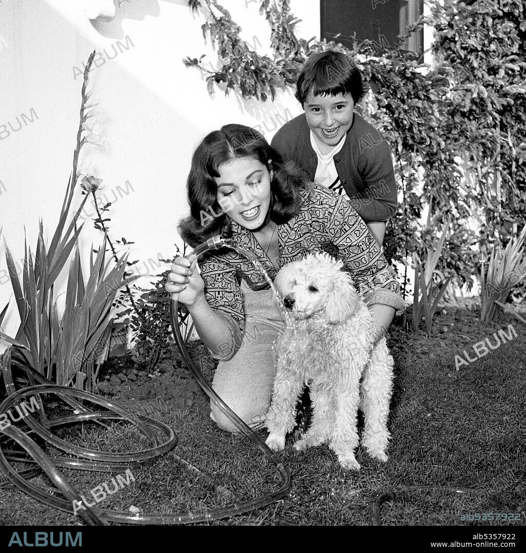 ANGELI PIER. Circa 1956, Hollywood, California, USA: Italian actress PIER ANGELI with her younger sister MARISA PAVAN and their dog with garden hose in Hollywood.