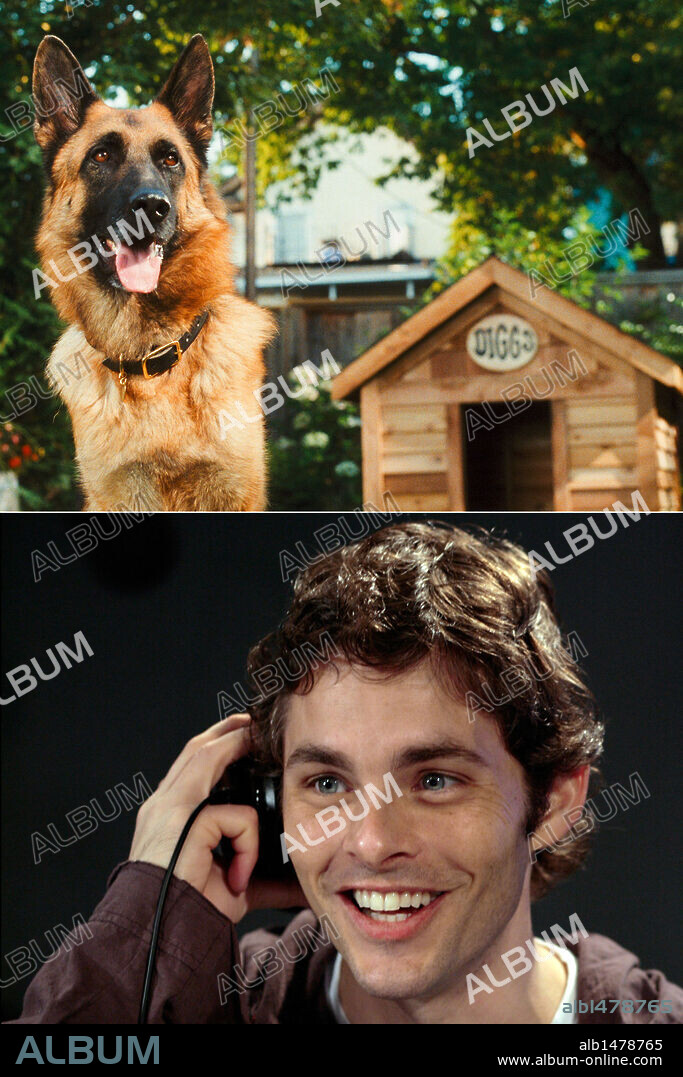 JAMES MARSDEN in CATS & DOGS: THE REVENGE OF KITTY GALORE, 2010, directed by BRAD PEYTON. Copyright VILLAGE ROADSHOW / BERLINER, ALEX.