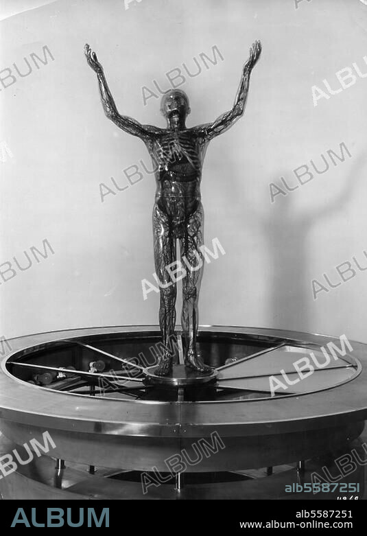 Medizin / Anatomie:. "Der gläserne Mensch" (Exponat auf der Pariser Weltausstellung 1937). Foto, undat.