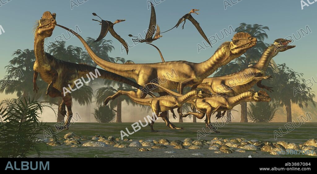 A pack of Dilophosaurus are beginning their hunt for prey as flying Dorygnathus pterosaurs follow along.