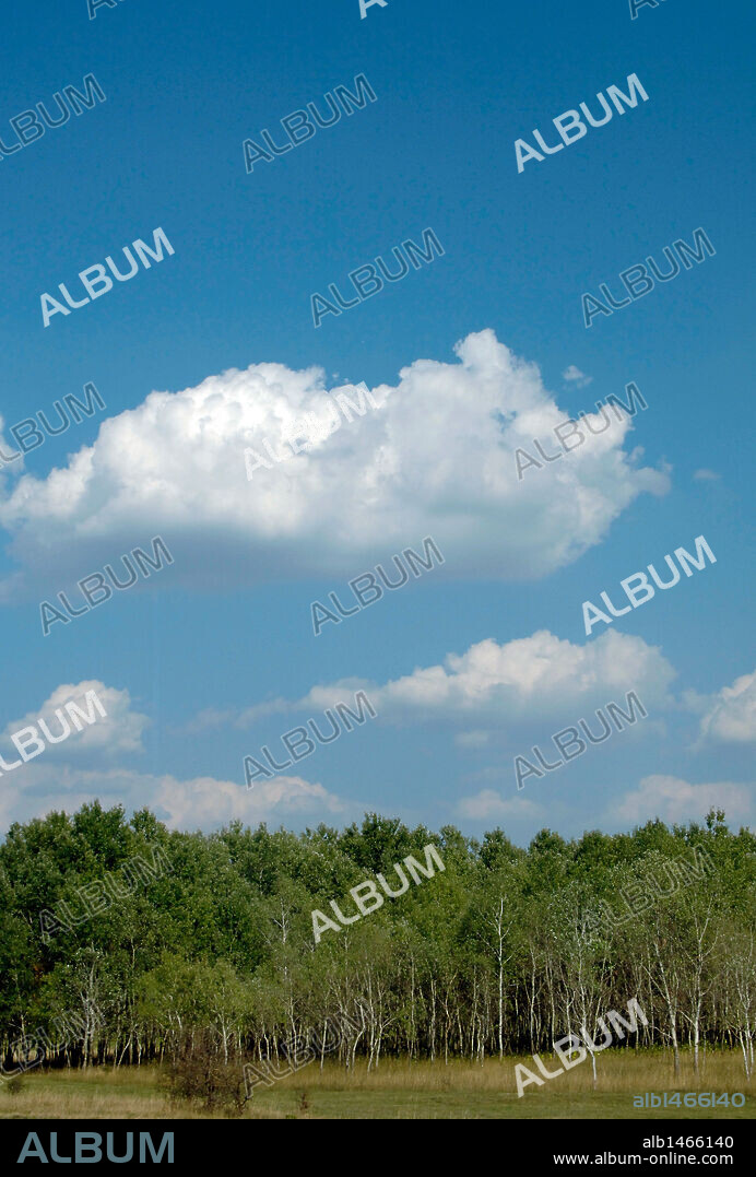 HUNGRIA. BUDAPEST. Paisaje del sur del país cerca de la frontera con Serbia en Subotica .