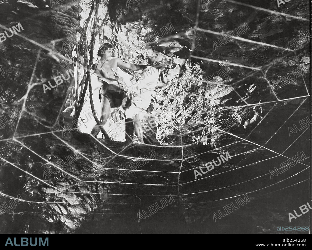 JOHNNY WEISSMULLER en TARZÁN EL TEMERARIO, 1943 (TARZAN'S DESERT MYSTERY), dirigida por WILHELM THIELE. Copyright RKO.