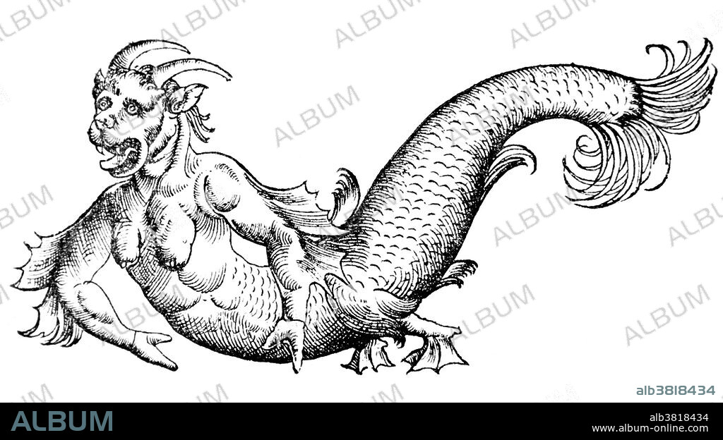 Woodcut entitled: On the devil fish (or sea-devil), 1563, based on a skeleton and mummies. In Greek mythology ichthyocentaurs (or ikhthyokentauroi) were a pair of centaurine sea-gods with the upper body of a man, the lower front of a horse, the tail of a fish and they wore lobster-claw horns. Conrad Gesner (1516-1565) was a Swiss naturalist and bibliographer. His five-volume Historiae animalium (1551-1558) is considered the beginning of modern zoology, and the flowering plant genus Gesneria (Gesneriaceae) is named after him. He is denoted by the author abbreviation Gesner when citing a botanical name.