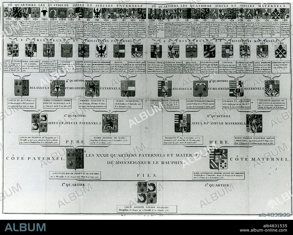 Arbre genealogique du Dauphin Louis Joseph Xavier Francois (1781-1789), le fils aine de Louis XVI et de Marie-Antoinette. Credit : Collection KHARBINE-TAPABOR.