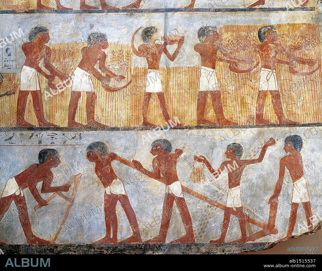 Egyptian civilization, New Kingdom. Fragment of wall painting depicting a sowing and harvesting scene. From the tomb of Onsu at west Thebes. Detail.