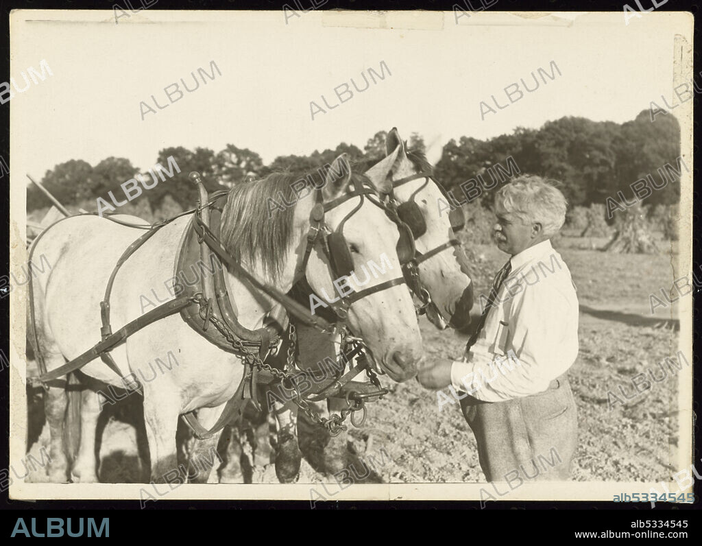 LEWIS WICKES HINE. A gelatin silver print of a man with white hair, wearing a tie, and attending to horses at the Manual Training and Industrial School for Colored Youth in Bordentown, New Jersey. The Bordentown boarding school for African-American students was founded in 1886. It was known as the "Tuskegee of the North" for its adoption of many of the educational practices first developed at the Tuskegee Institute in Alabama.