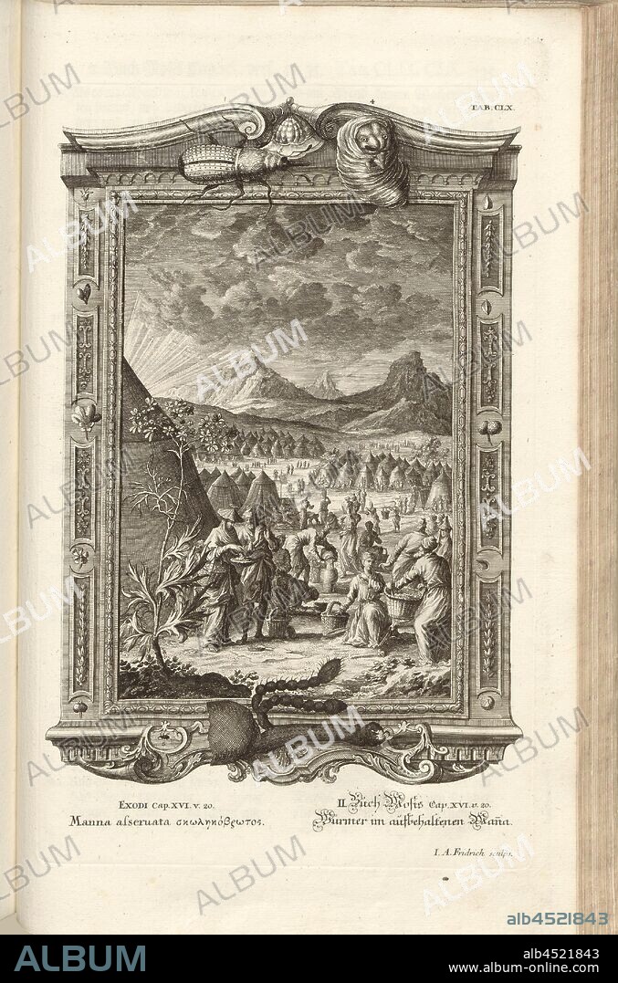 Marina asseruatus, Parallel Title: Worms in Retained Manna, Signed: J. A. Fridrich sculps, Copperplate, Plate CLX (Vol. 1), Füssli, Johann Melchior; Fridrich, Jacob Andreas (sculps.), 1731, Johann Jakob Scheuchzer: Kupfer-Bibel (...). Augspurg und Ulm: gedruckt bey Christian Ulrich Wagner, 1731-1735.
