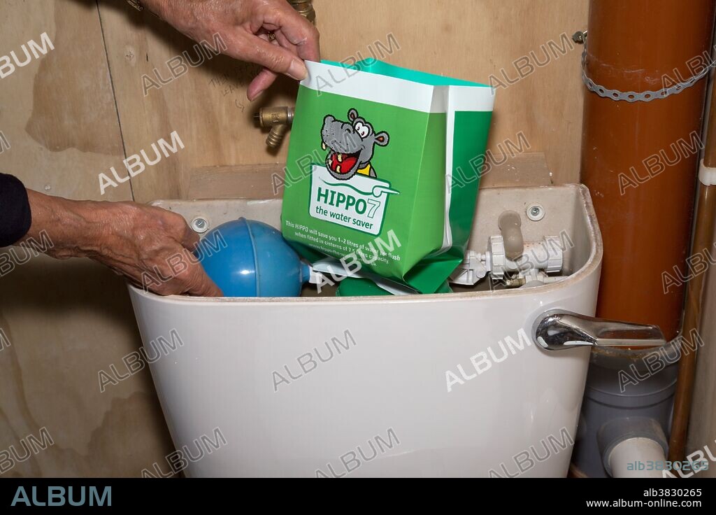 Woman installing a hippo7 water saver in an old-style toilet cistern in the UK.