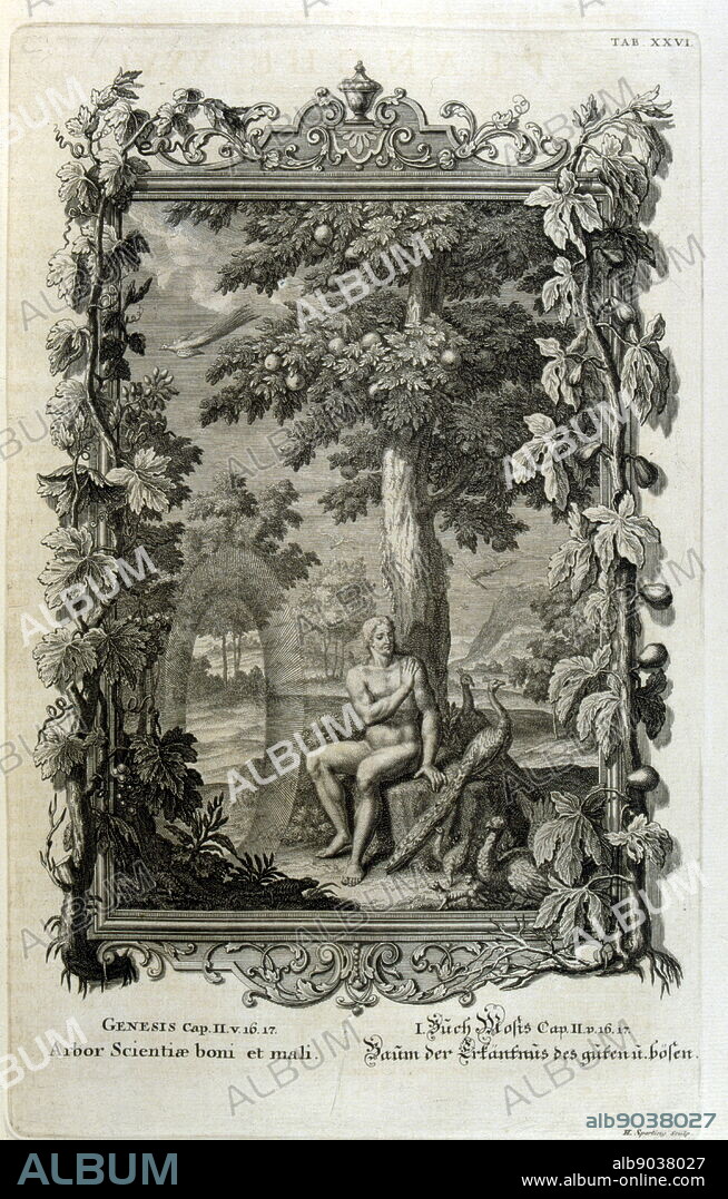 Copperplate engraving from 'Physica Sacra' by the Swiss scholar, Johann Jakob Scheuchzer (1672 - 1733). Scheuchzer believed that the Old Testament was a factual representation of human history and natural life. Physica Sacra is a compilation of art, science, and spirituality. Scheuchzer uses the Bible as his reference point for describing the natural world. Physica Sacra is also known as the Kupfer-Bibel which translates to "Copper Bible." The sketches were done by Johann Melchior Fussli and a number of engravers worked on the compilation. Originally published in 1731, it features over 700 copper plate engravings.