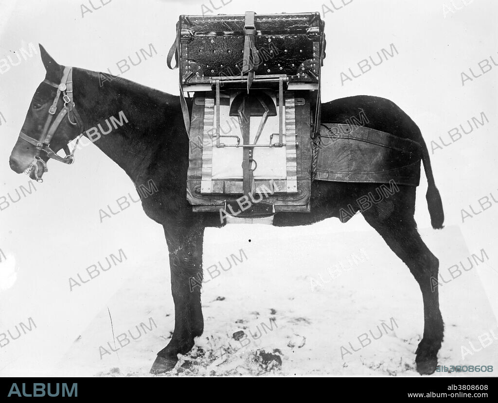Pack horse used by U.S. Army Signal Corps, carrying chest of instruments for local outfit for wireless telegraph. The United States Army Signal Corps develops, tests, provides, and manages communications and information systems support for the command and control of combined arms forces. It was established in 1860 and has had an important role from the American Civil War through the current day. Over its history, it had the initial responsibility for a number of functions and new technologies that are currently managed by other organizations, including military intelligence, weather forecasting, and aviation. The electric telegraph, in addition to visual signaling, became a Signal Corps responsibility in 1867. Within 12 years, the Corps had constructed, and was maintaining and operating, some 4,000 miles of telegraph lines along the country's western frontier. This photograph was taken in 1916 from the Bain News Service, one of the USA's earliest news picture libraries.