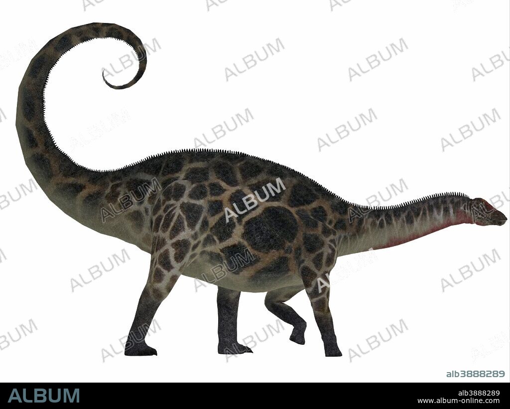 Dicraeosaurus was a sauropod herbivorous dinosaur that lived in the Jurassic Era of Tanzania, Africa.