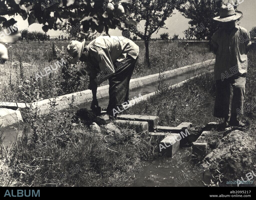 España. Extremadura. Badajoz. Canales de riego. Fotografía, Año 1950.