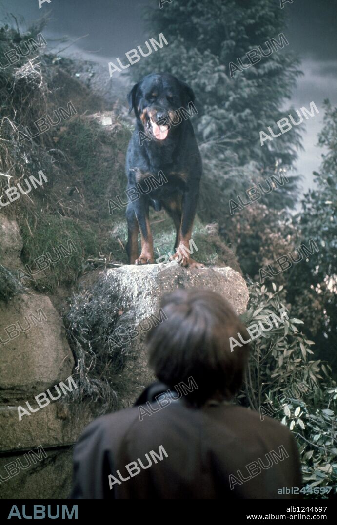 THE OMEN, 1976, réalisé par RICHARD DONNER. Copyright 20TH CENTURY FOX.
